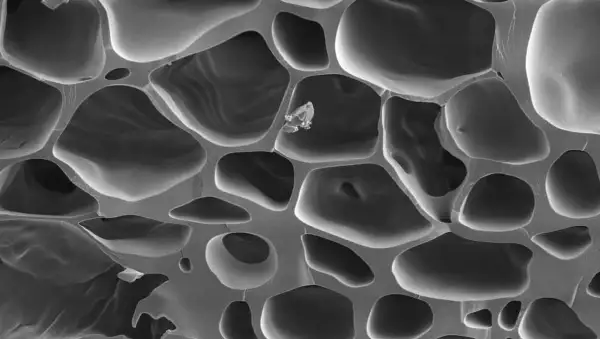 Biocarbón bajo el microscopio