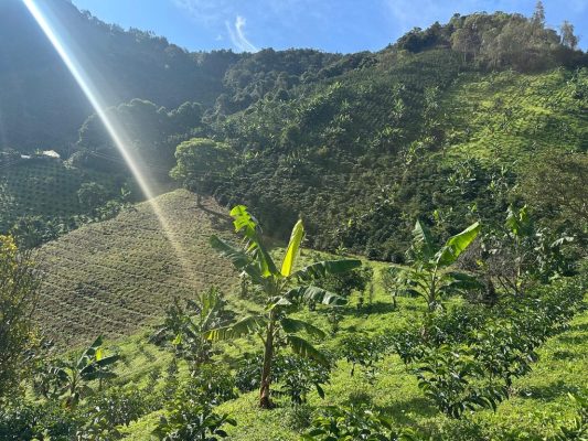 01CF0348-125C-4D21-A547-E5D7573F5BD8_1_105_c