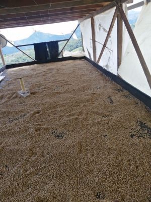 1B9A9AF7-581F-4A31-86B0-B1702FDE7E95_1_105_c