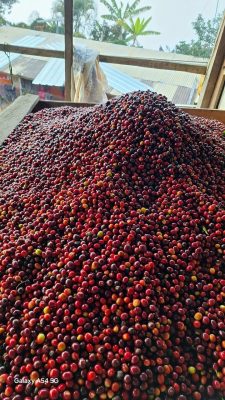 2DC0E889-E350-4614-B91E-6C782917324E