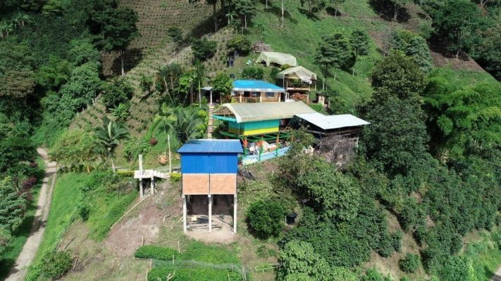 558008CA-A19D-491E-A650-337E7DFFCD2D