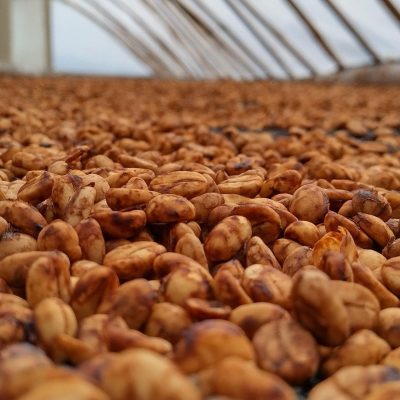 5589032E-4BD0-43B4-9C72-418E5FCD764A