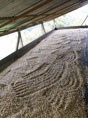 559ED36C-4575-4F2A-8C30-3F53A7D3F9A8_1_105_c