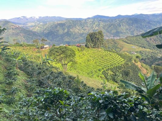 56331C99-4022-4EEC-870B-A2A810D33AD6_1_105_c