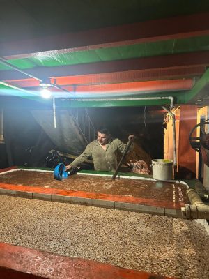 6D18CFEE-010B-4AA8-8493-418C23BB6DEF