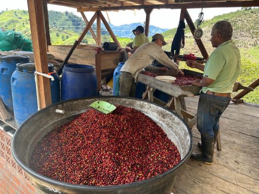 70439B3A-219A-4AD9-BA1B-5765B3C12242_1_105_c