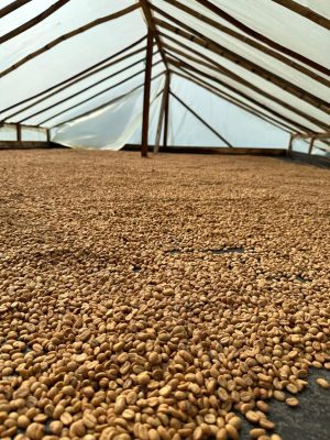 76E316F7-3E42-4A77-BB00-9E1EA0A5847B