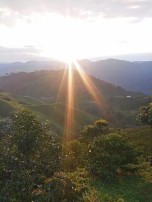 7D2E8078-E601-46B9-AF97-140A30A80D1B_1_105_c