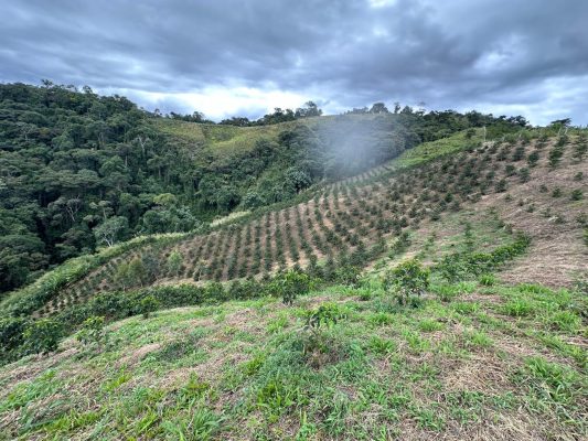 7F472CA0-665D-42C7-B18F-B8541E14841A