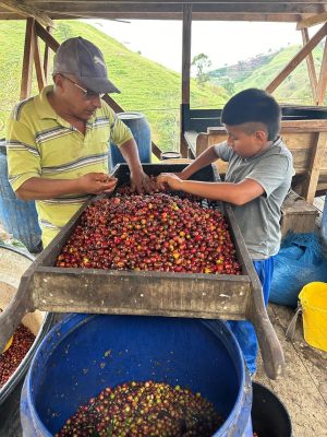 A7831EA6-7695-4D67-BA76-0D14281C9966