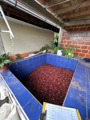 AC0871AB-6C04-4DA4-B6FB-3F33F96274CE