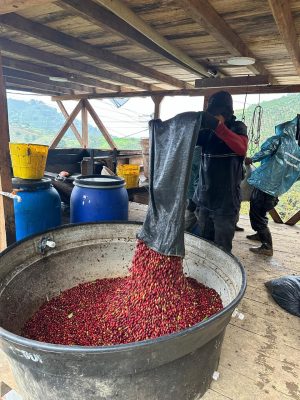 AC574181-ABC0-498D-A543-2D51556FECD0