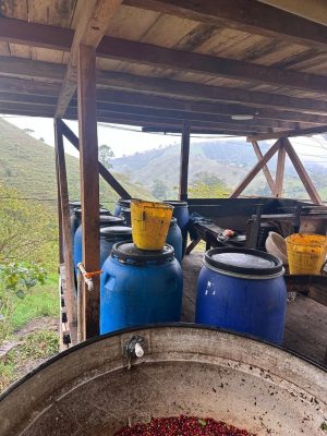 C4A1479B-EB1B-42F8-AB65-A71E28AADE01_1_105_c