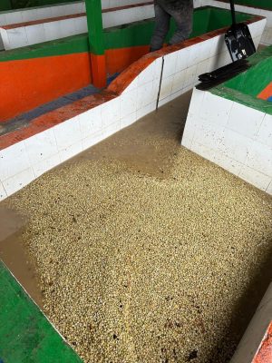 D6195D8B-EC81-4E68-B40D-4E70A9961D52