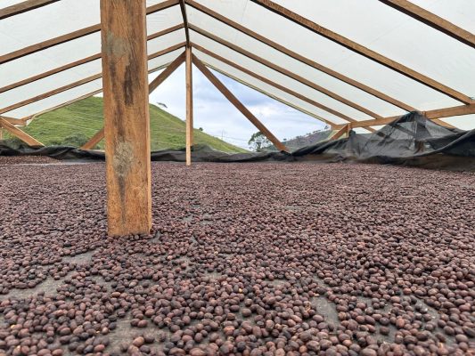 F3DE32E5-D333-470C-90CC-A9E9FFF38C2A