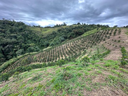 PHOTO-2026-04-03-07-44-24 11