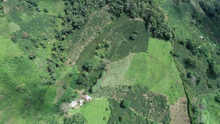 PHOTO-2026-04-03-07-44-24 12