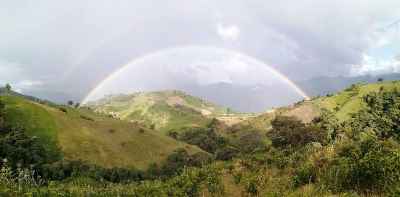 PHOTO-2026-04-03-07-44-24 7