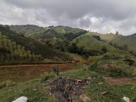 PHOTO-2026-04-03-07-44-24 8