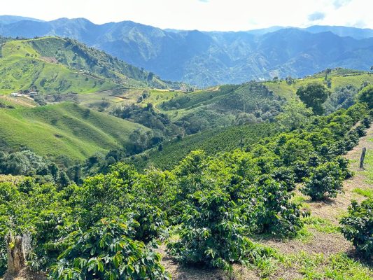 PHOTO-2026-04-03-07-44-24